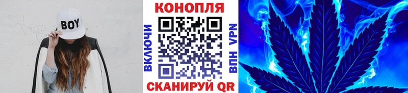 Все наркотики Петровск Гашиш  hydra ССЫЛКА  АМФЕТАМИН  Cocaine  МЕФ  Alpha PVP 