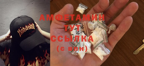 ГАЛЛЮЦИНОГЕННЫЕ ГРИБЫ Горно-Алтайск