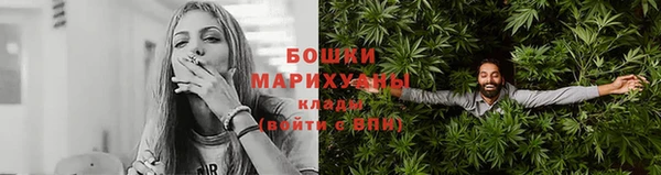 ГАЛЛЮЦИНОГЕННЫЕ ГРИБЫ Горно-Алтайск