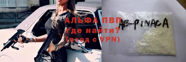 ГАЛЛЮЦИНОГЕННЫЕ ГРИБЫ Горно-Алтайск