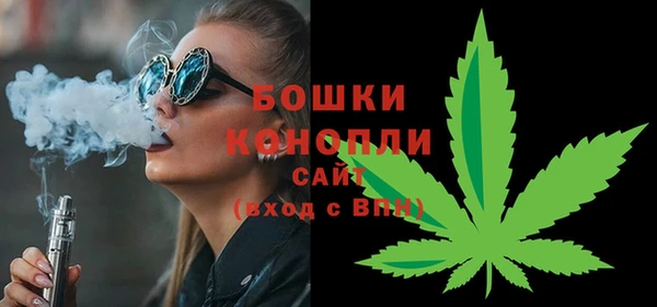 ГАЛЛЮЦИНОГЕННЫЕ ГРИБЫ Горно-Алтайск
