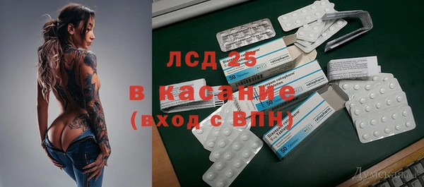 ГАЛЛЮЦИНОГЕННЫЕ ГРИБЫ Горно-Алтайск